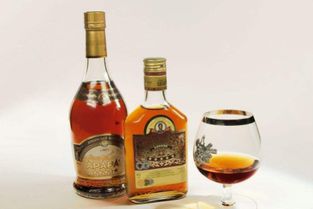 上海酒类批发许可证办理所需材料与流程指南